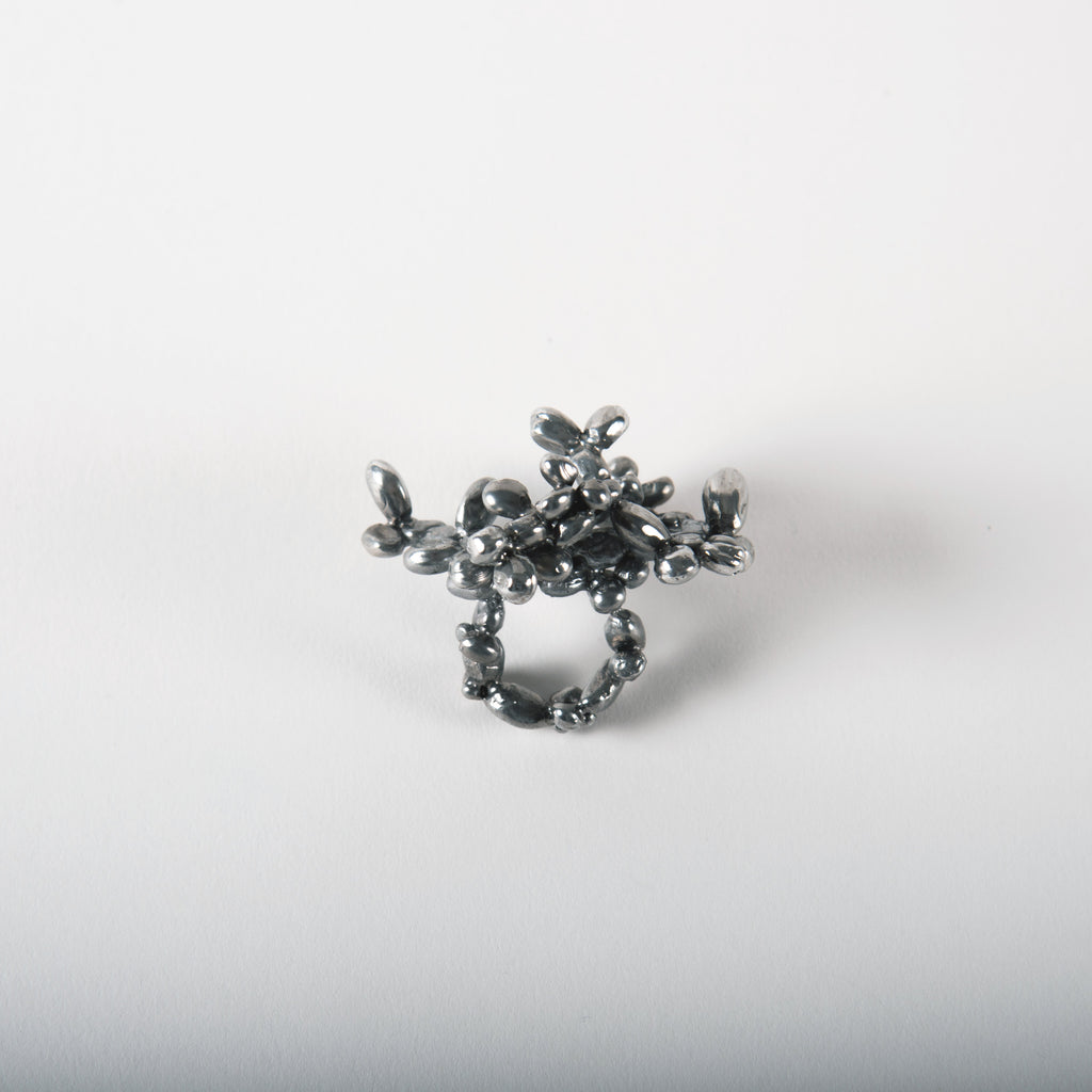 SEED COMPOSITION NO.II