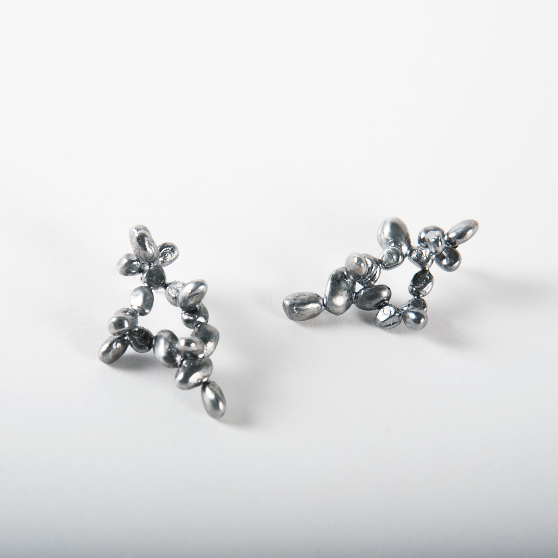 SEED COMPOSITION N.V