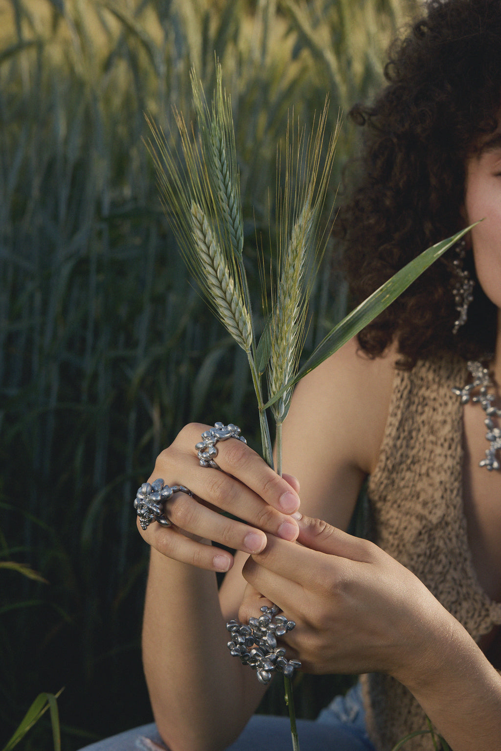 SEED COMPOSITION NO.II