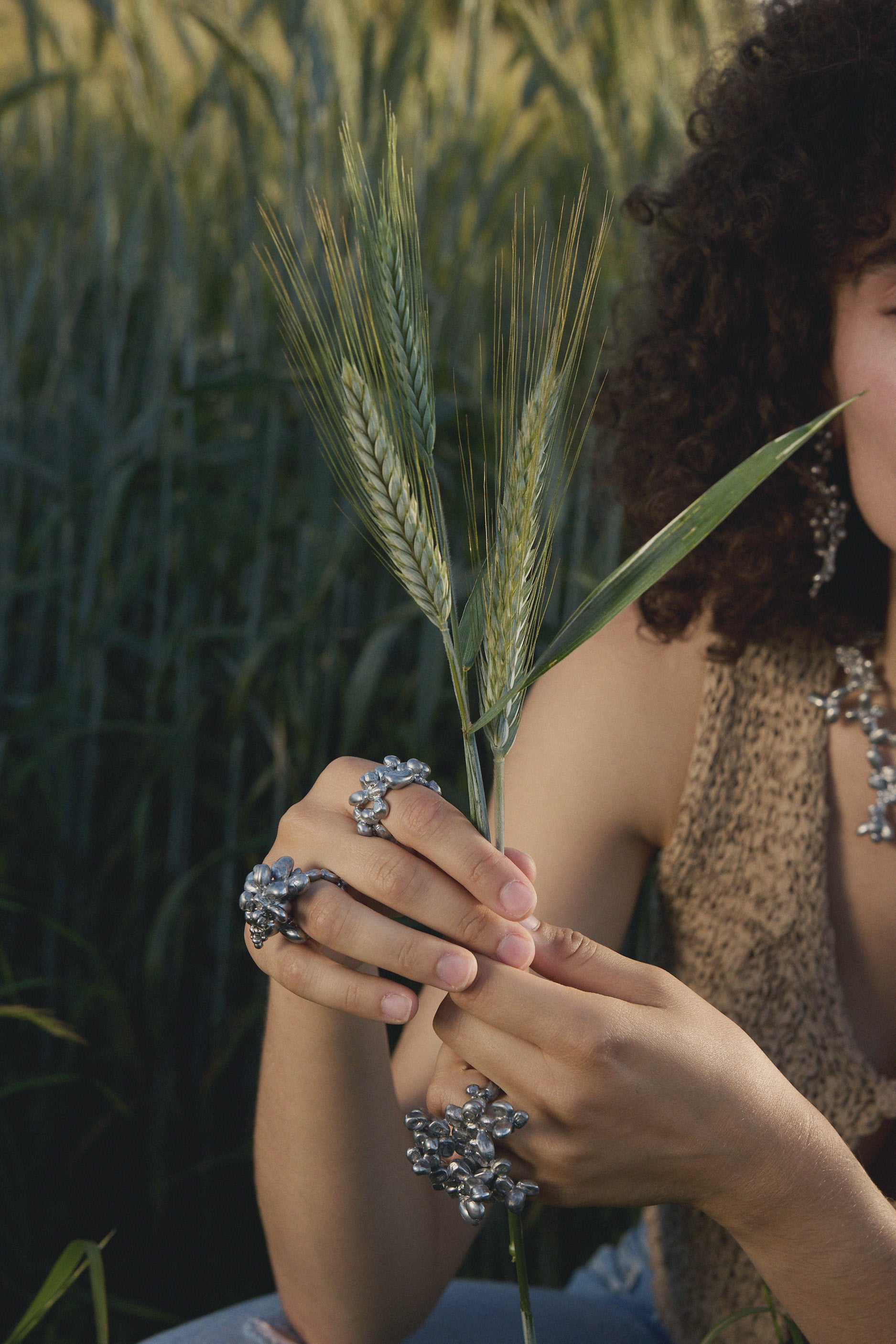 SEED COMPOSITION NO.II